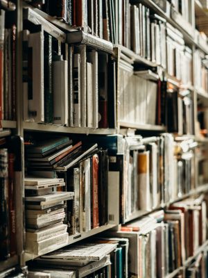 pexels-cottonbro-2925304 pexels-cottonbro-2925304